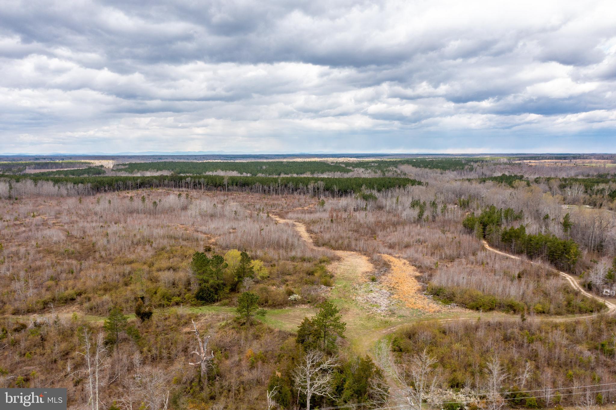 Mt Olive Road Beaverdam, VA 23015 - Photo 11 of 18
