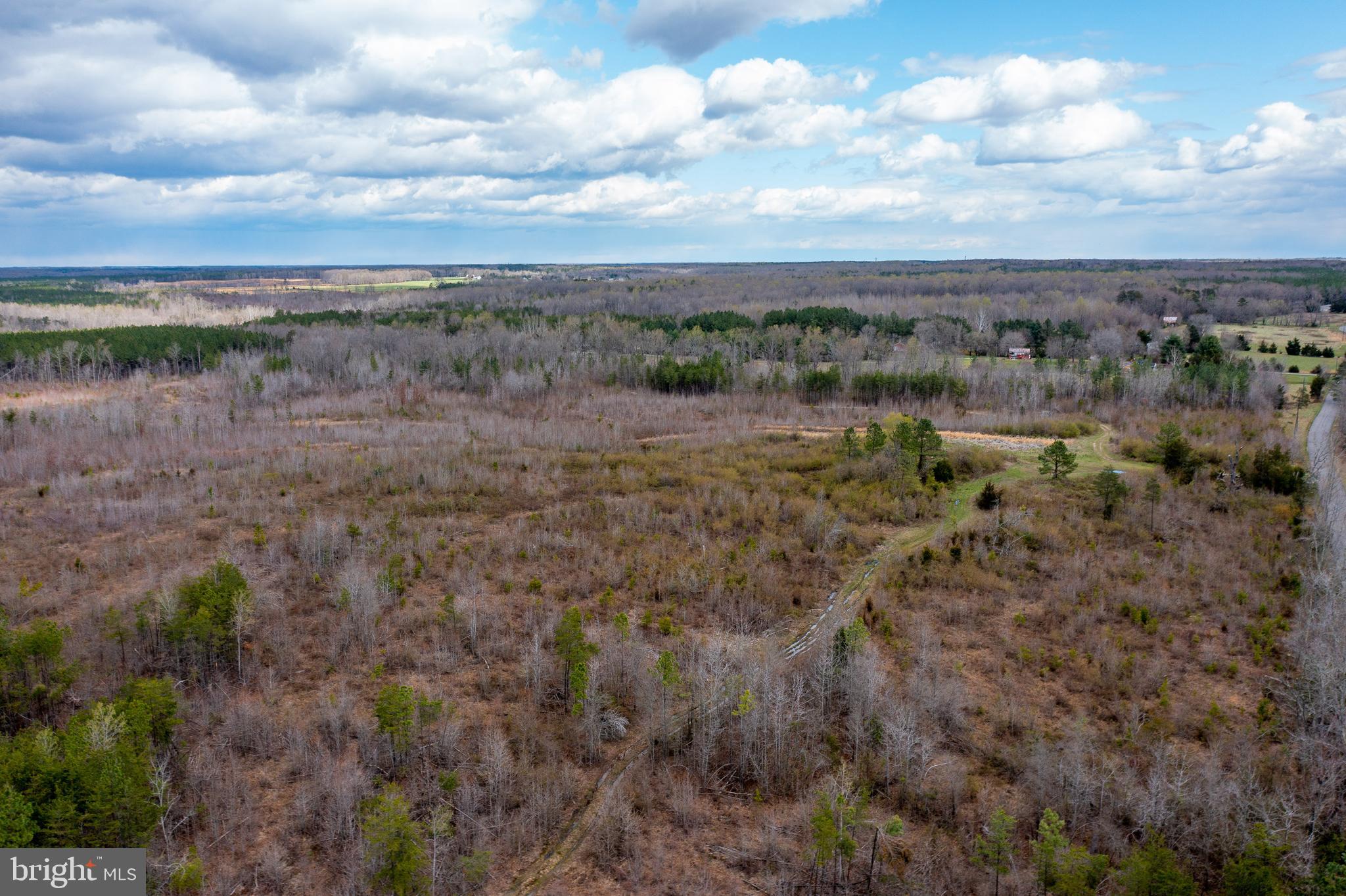Mt Olive Road Beaverdam, VA 23015 - Photo 14 of 18