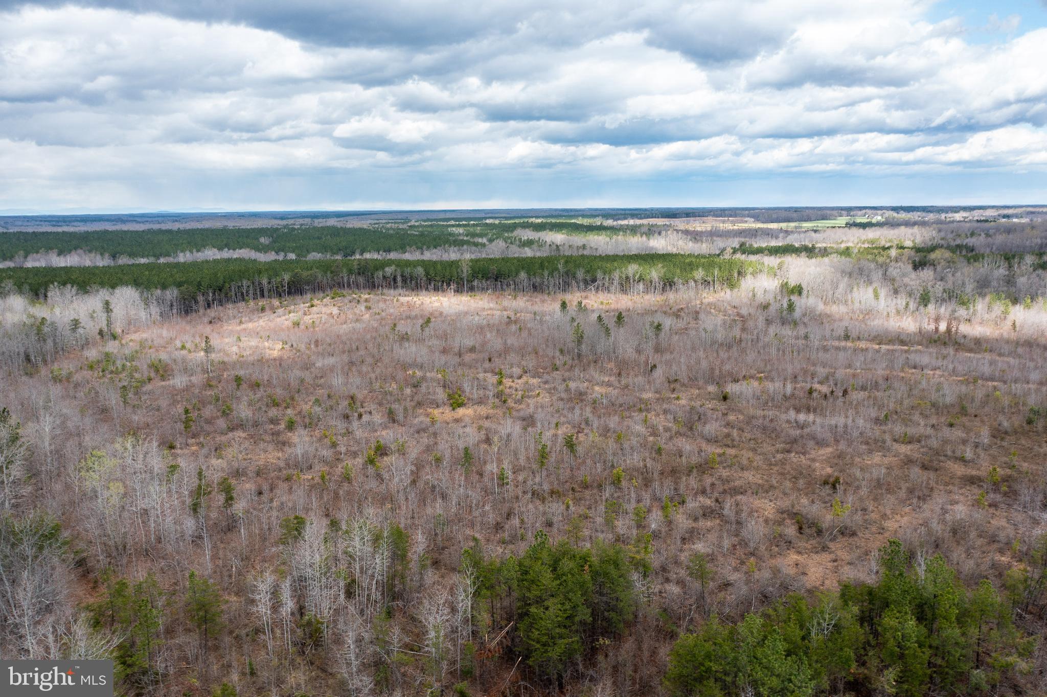 Mt Olive Road Beaverdam, VA 23015 - Photo 15 of 18