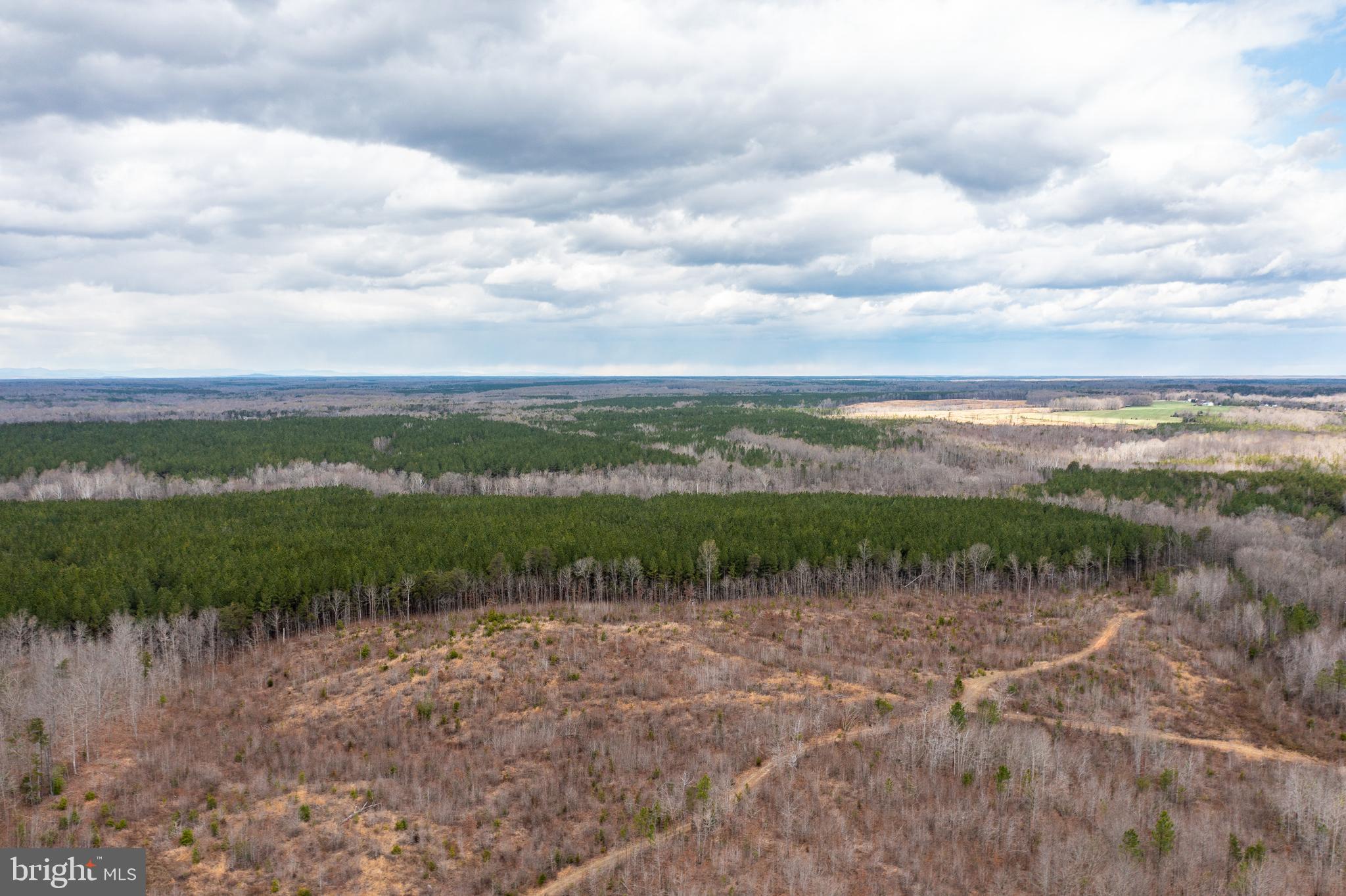 Mt Olive Road Beaverdam, VA 23015 - Photo 16 of 18
