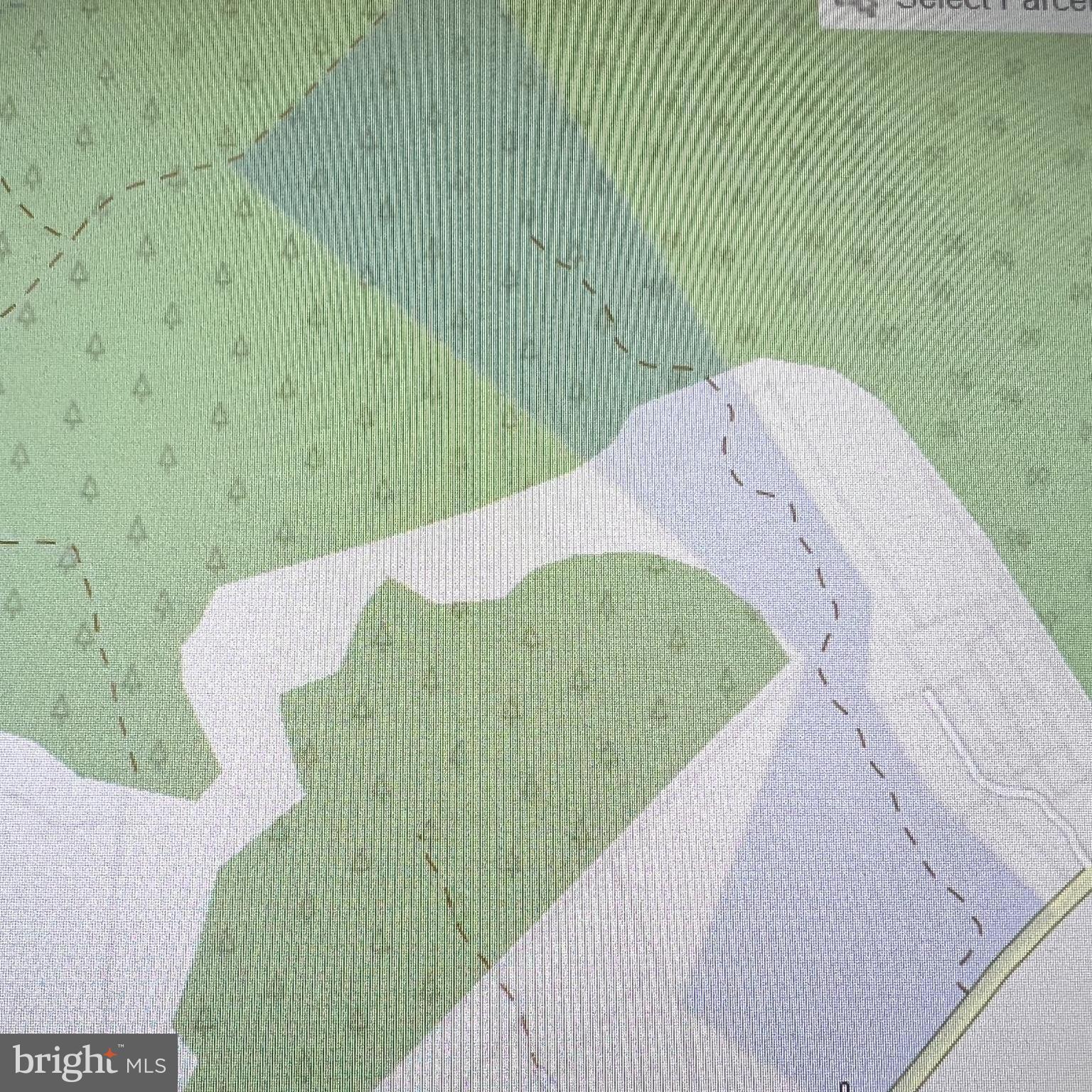 Mt Olive Road Beaverdam, VA 23015 - Photo 18 of 18