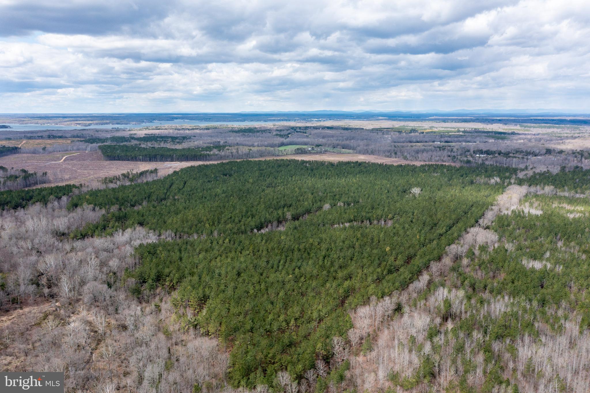 Mt Olive Road Beaverdam, VA 23015 - Photo 4 of 18