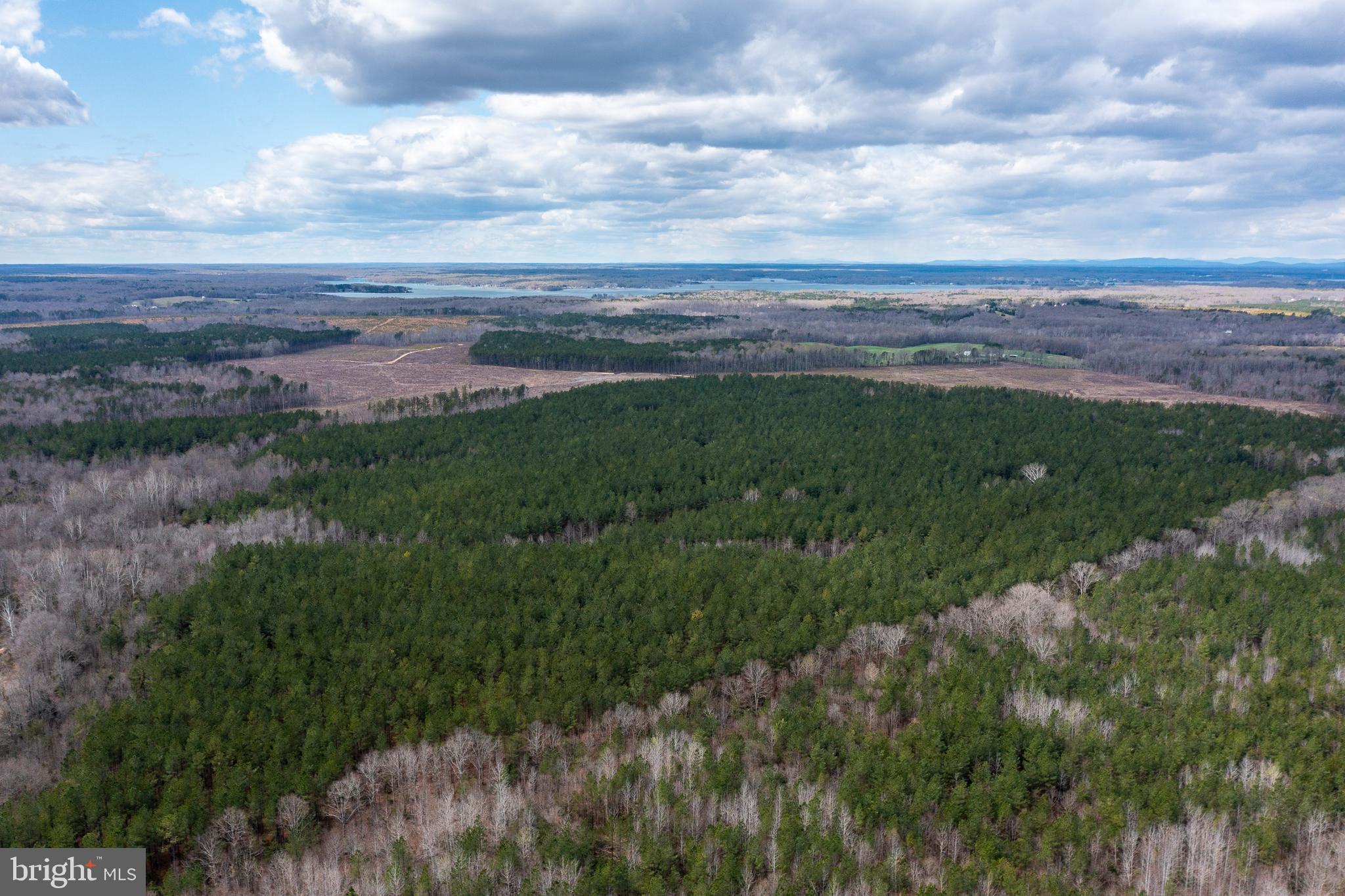 Mt Olive Road Beaverdam, VA 23015 - Photo 5 of 18