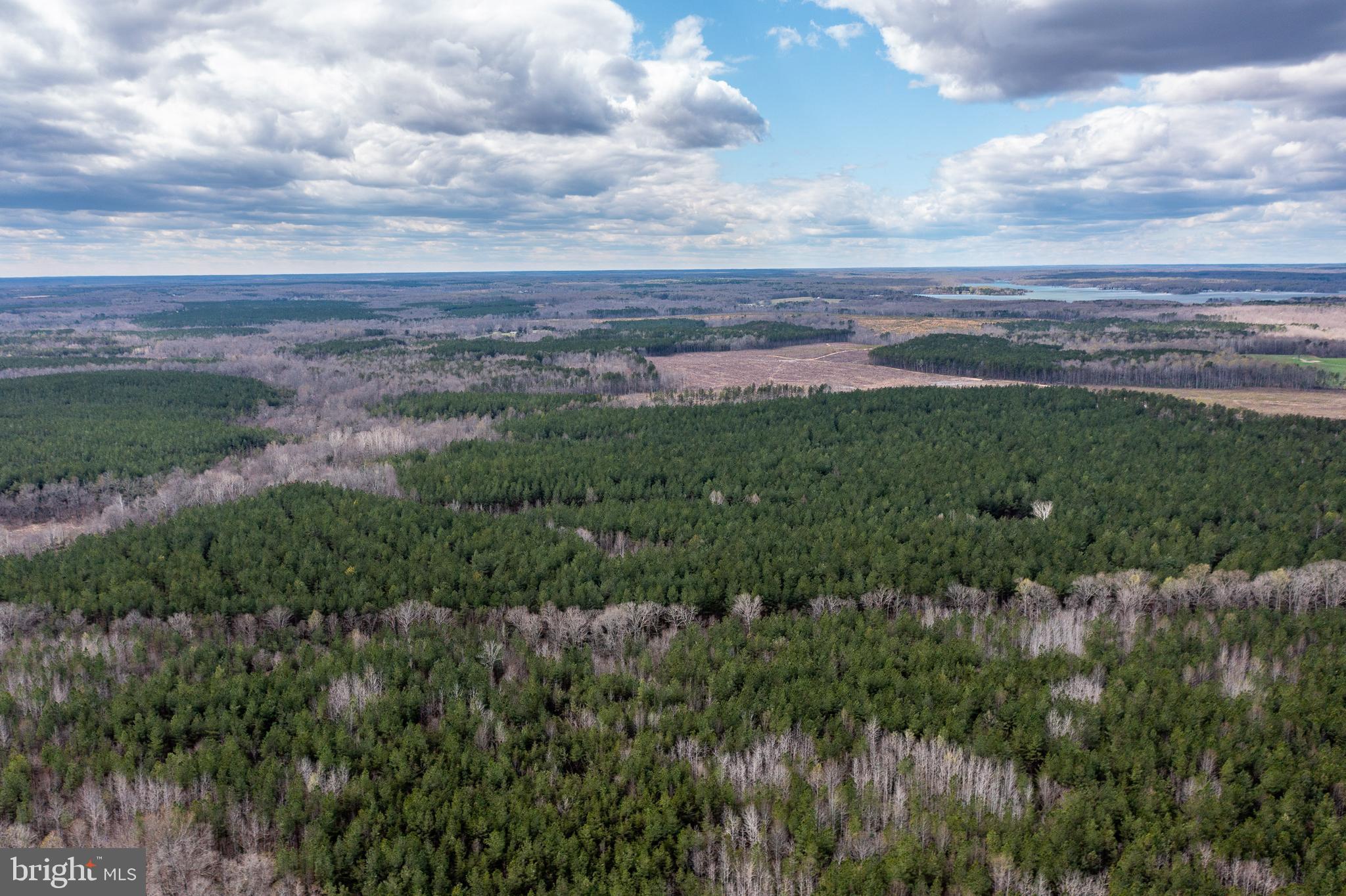 Mt Olive Road Beaverdam, VA 23015 - Photo 7 of 18