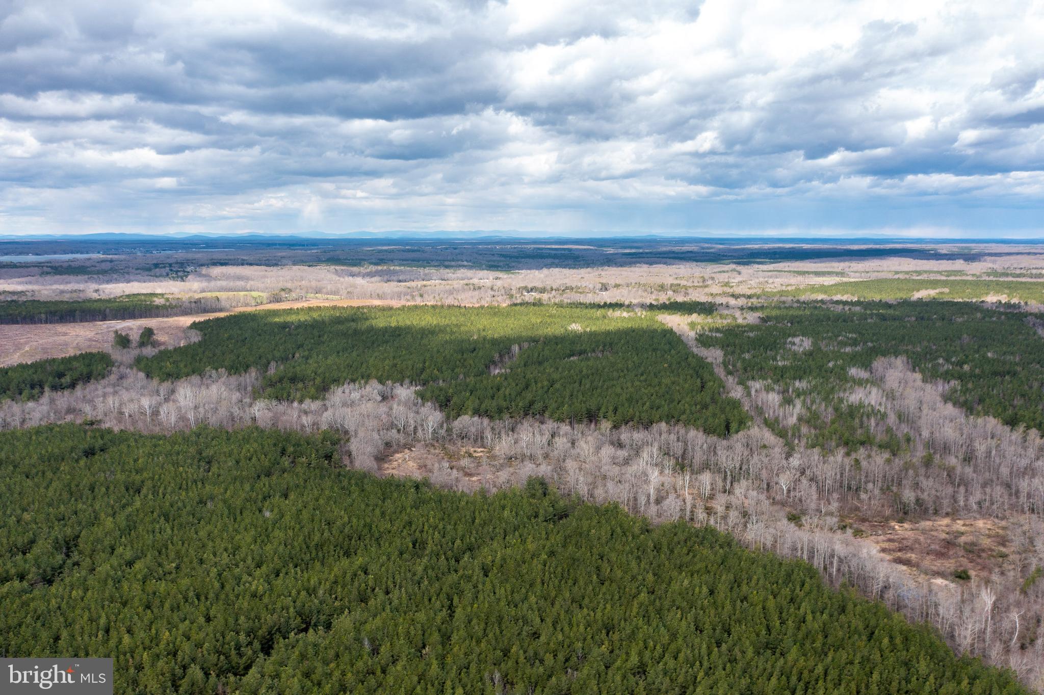 Mt Olive Road Beaverdam, VA 23015 - Photo 10 of 18