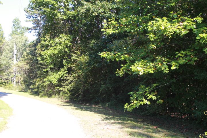 Six Mile Sc 29682 Road Six Mile, SC 29682 - Photo 1 of 10 Gallery Image 1