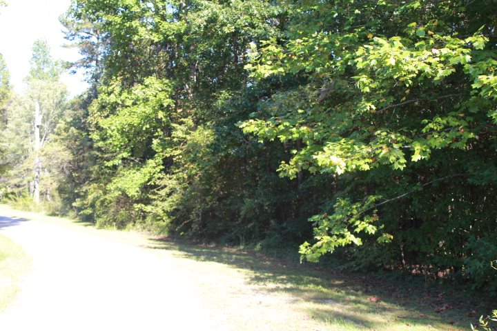 Six Mile Sc 29682 Road Six Mile, SC 29682 - Photo 4 of 10 Gallery Image 4