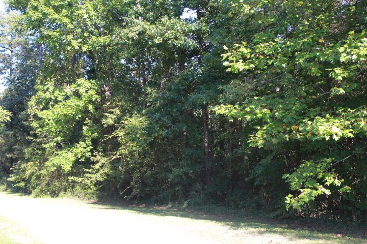 Six Mile Sc 29682 Road Six Mile, SC 29682 - Photo 5 of 10 Gallery Image 5