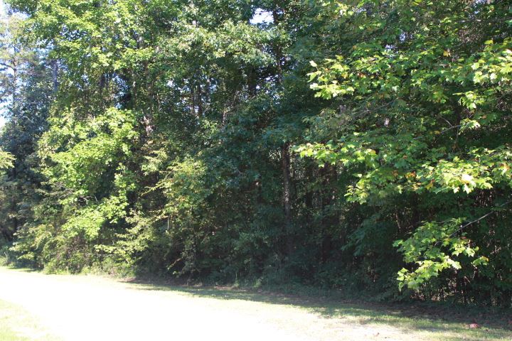 Six Mile Sc 29682 Road Six Mile, SC 29682 - Photo 6 of 10 Gallery Image 6