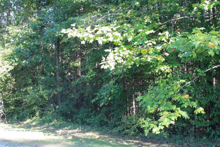 Six Mile Sc 29682 Road Six Mile, SC 29682 - Photo 9 of 10 Gallery Image 9