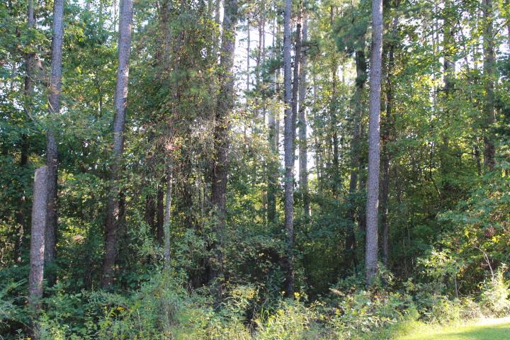 Six Mile Sc 29682 Road Six Mile, SC 29682 - Photo 10 of 10 Gallery Image 10