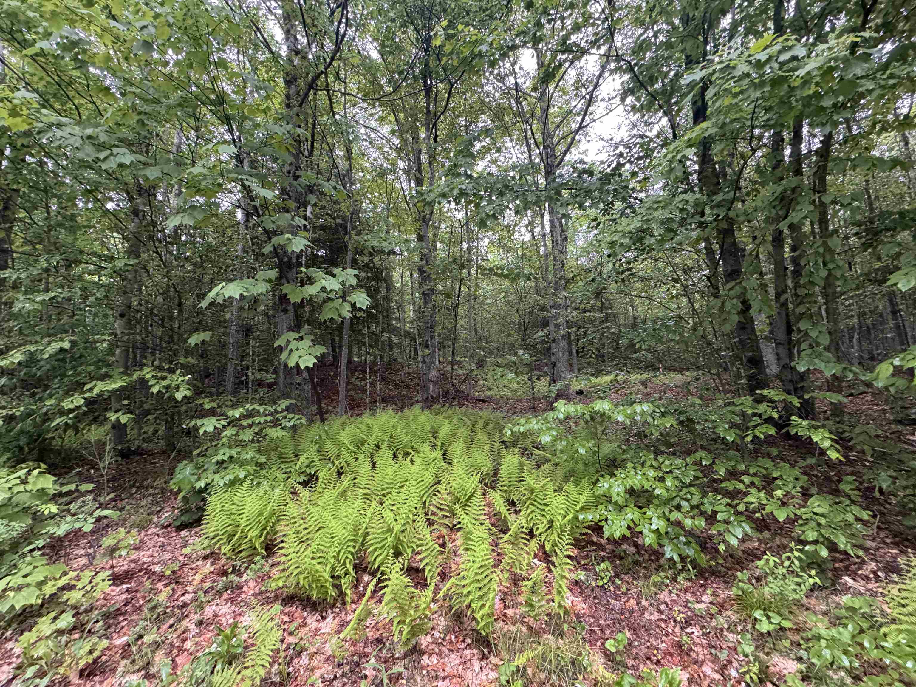 101 Gilsum Road, Unit 1 Sullivan, NH 03445 - Photo 4 of 4