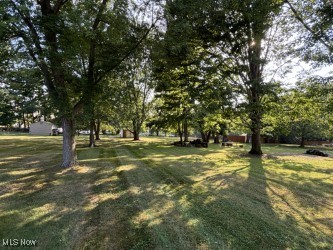 6362 Stumph Road Cleveland, OH 44130 - Photo 15 of 20 Large & scenic backyard.