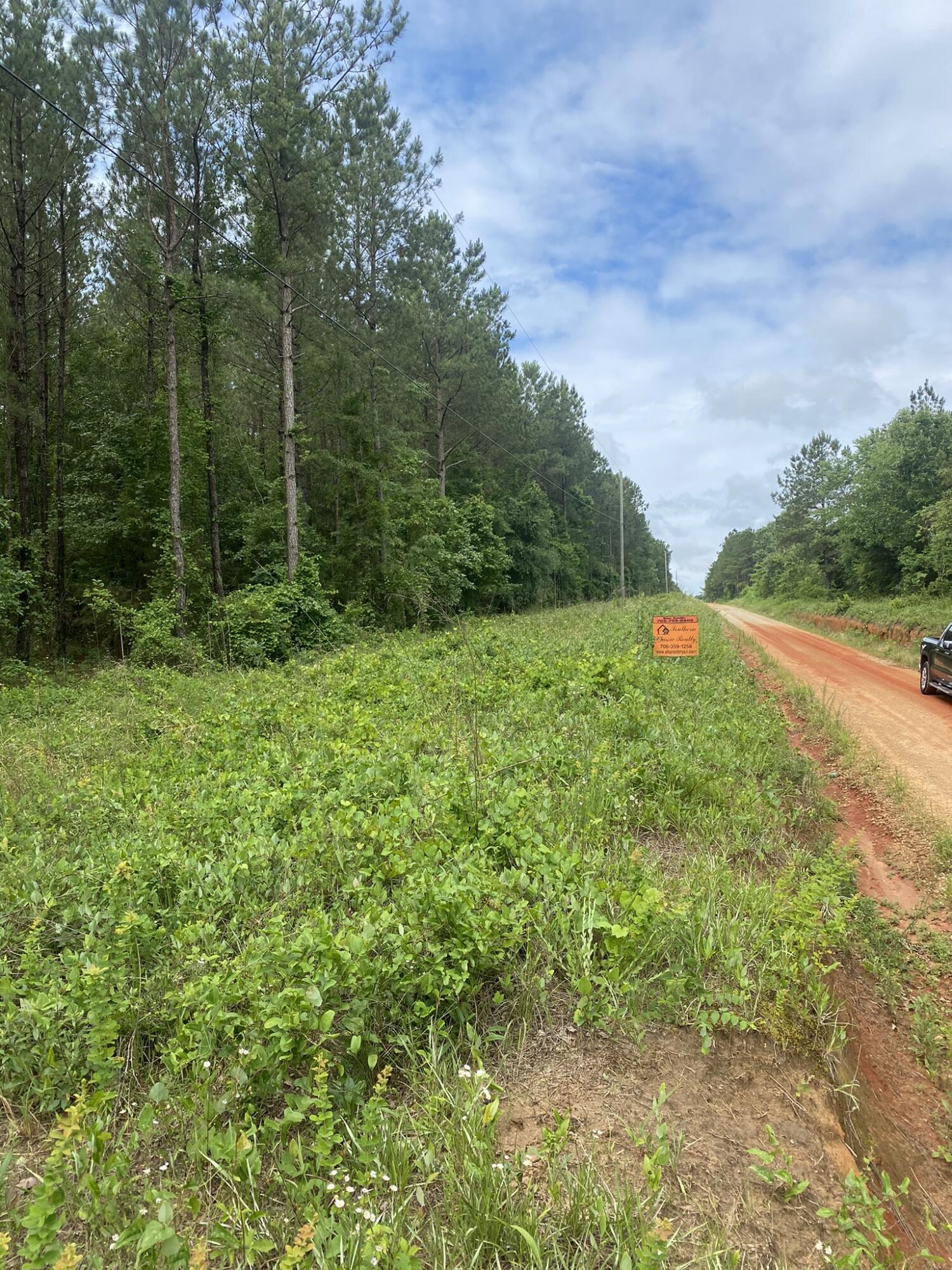 622 Bent Knee Road Keysville, GA 30816 - Photo 3 of 18 IMG_2070