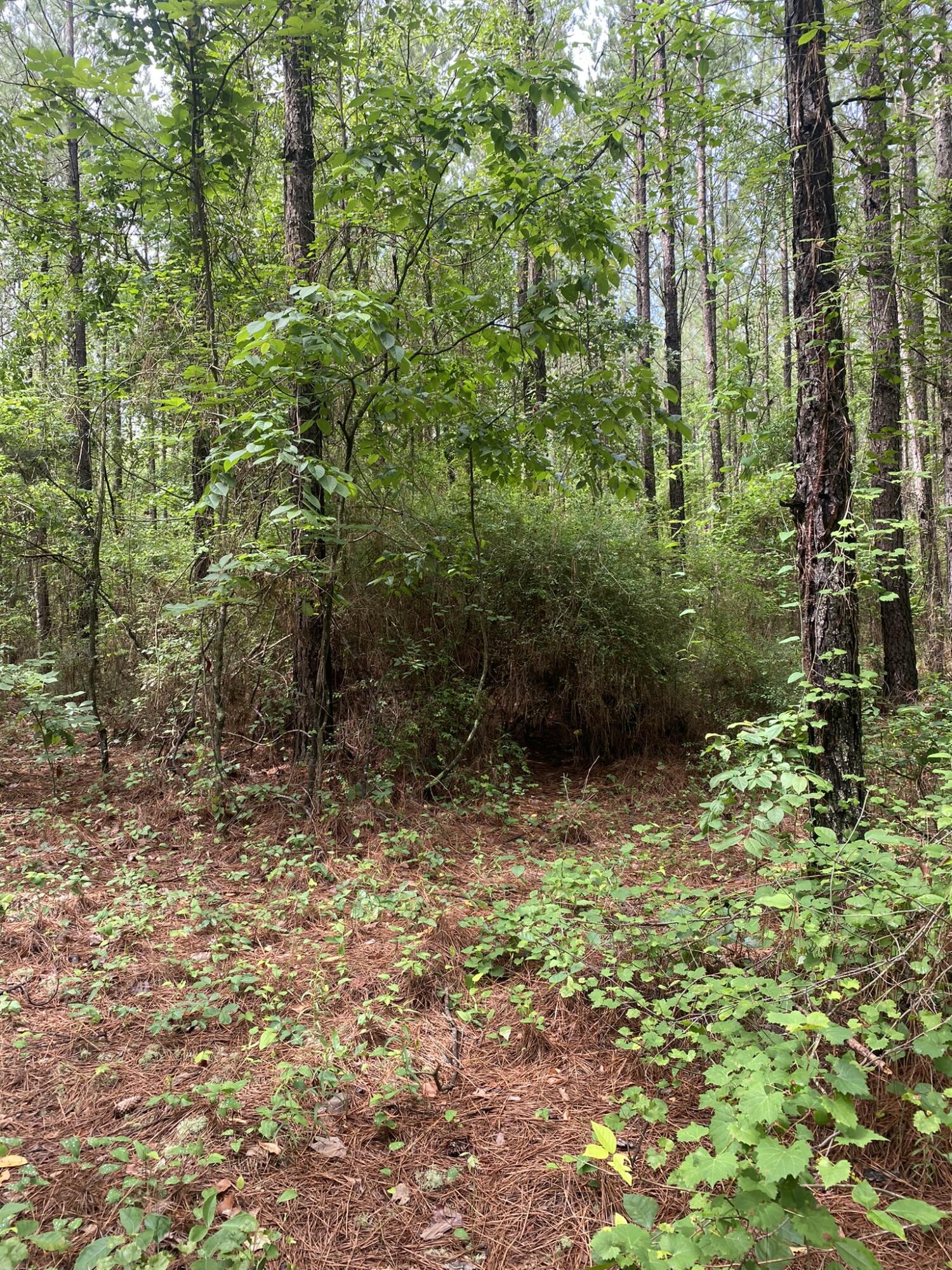 622 Bent Knee Road Keysville, GA 30816 - Photo 8 of 18 IMG_2075