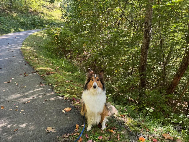 $265,000 | 400 High Hickory Trail, Unit 25, Swannanoa, NC 28778