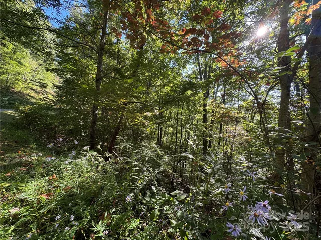 $265,000 | 400 High Hickory Trail, Unit 25, Swannanoa, NC 28778