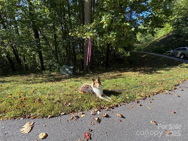 $265,000 | 400 High Hickory Trail, Unit 25, Swannanoa, NC 28778