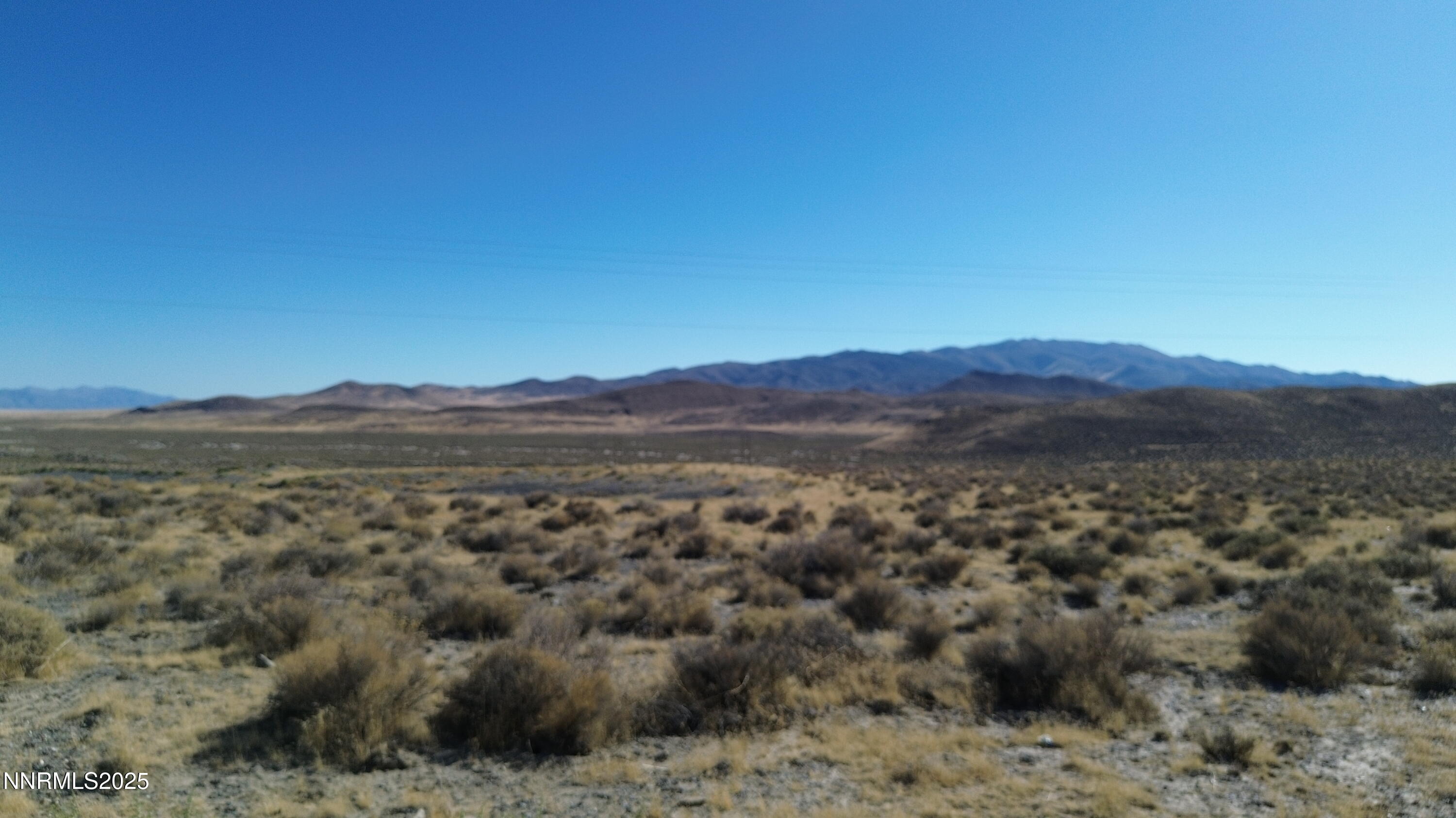 a view of a forest with mountains in the background