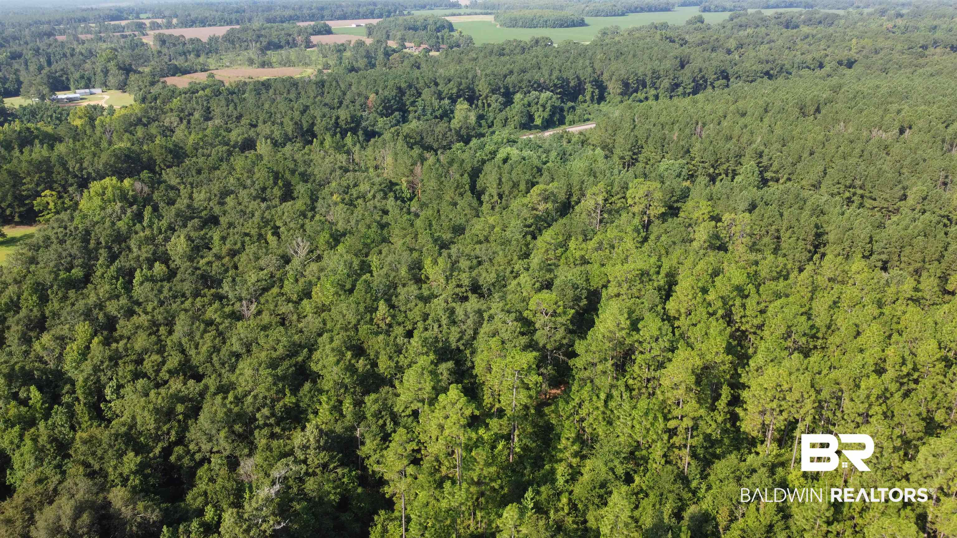 0 Lowery Road Atmore, AL 36502 - Photo 20 of 28