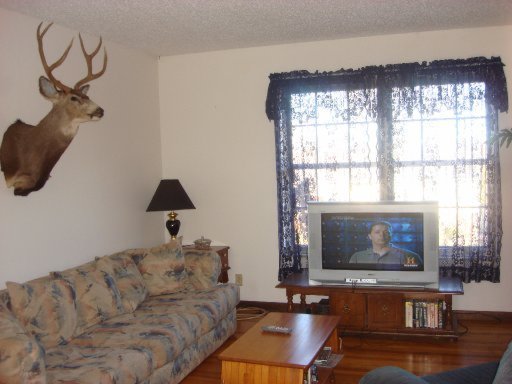 209 Blue Ridge Lane Seymour, TN 37865 - Photo 7 of 23 Additional Photo