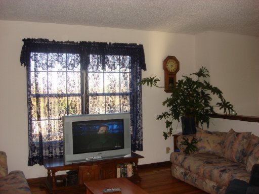 209 Blue Ridge Lane Seymour, TN 37865 - Photo 8 of 23 Additional Photo