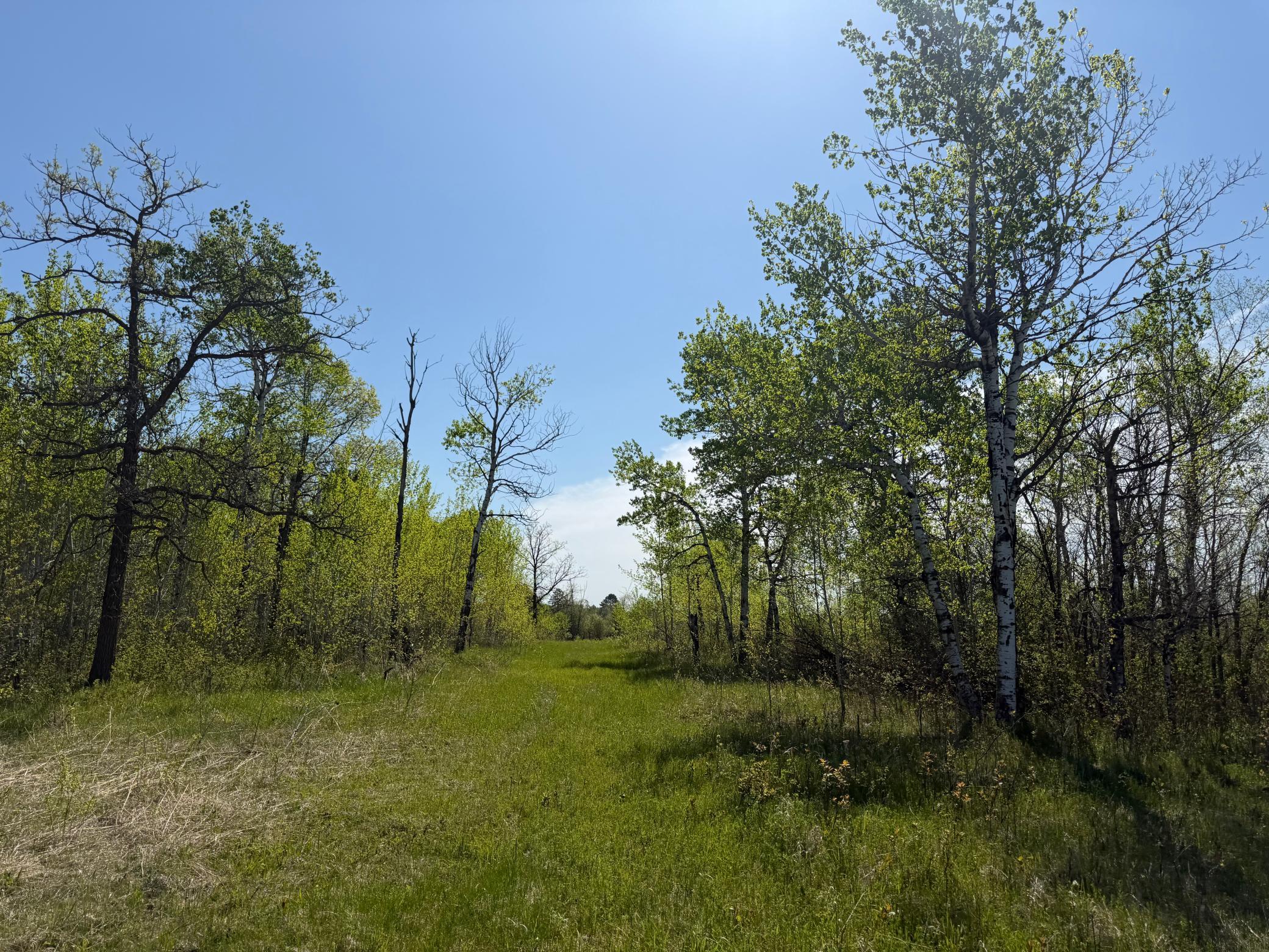 14 Sebeka Mn 56477 Sebeka, MN 56477 - Photo 73 of 79
