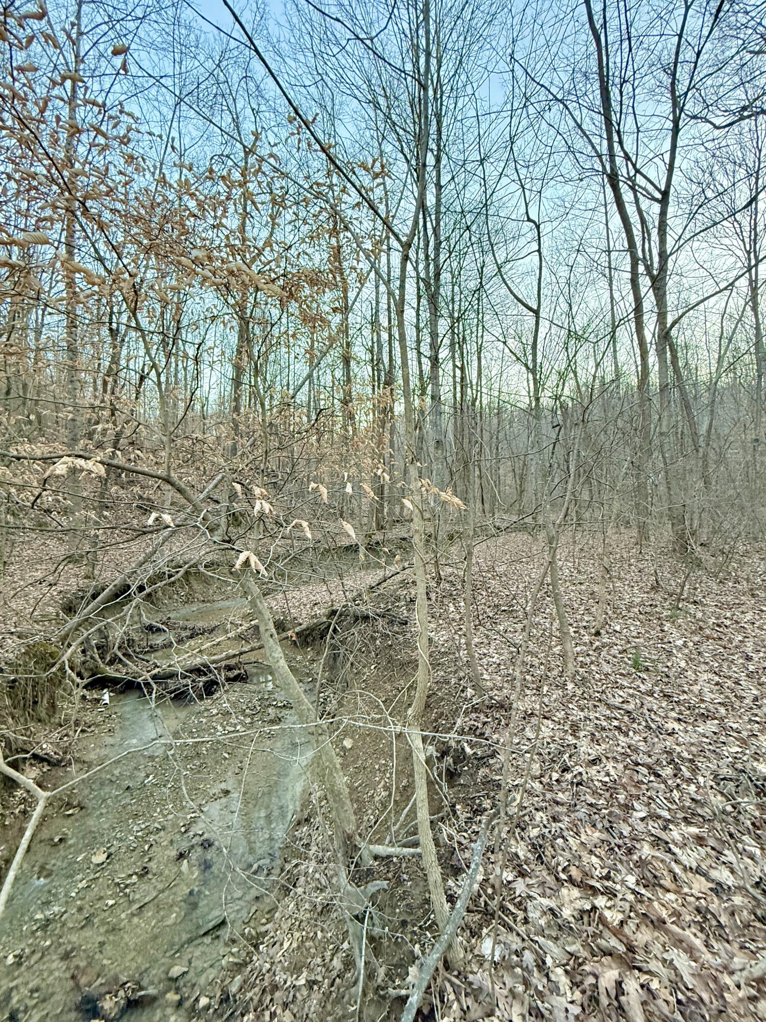 0 Sam Baughman Road Stanford, KY 40484 - Photo 12 of 27 FullSizeRender