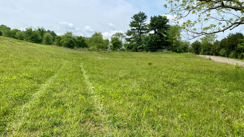 Tbd Castleton Road, Unit 62110 Max Meadows, VA 24360 - Photo 37 of 37 Gallery Image 37
