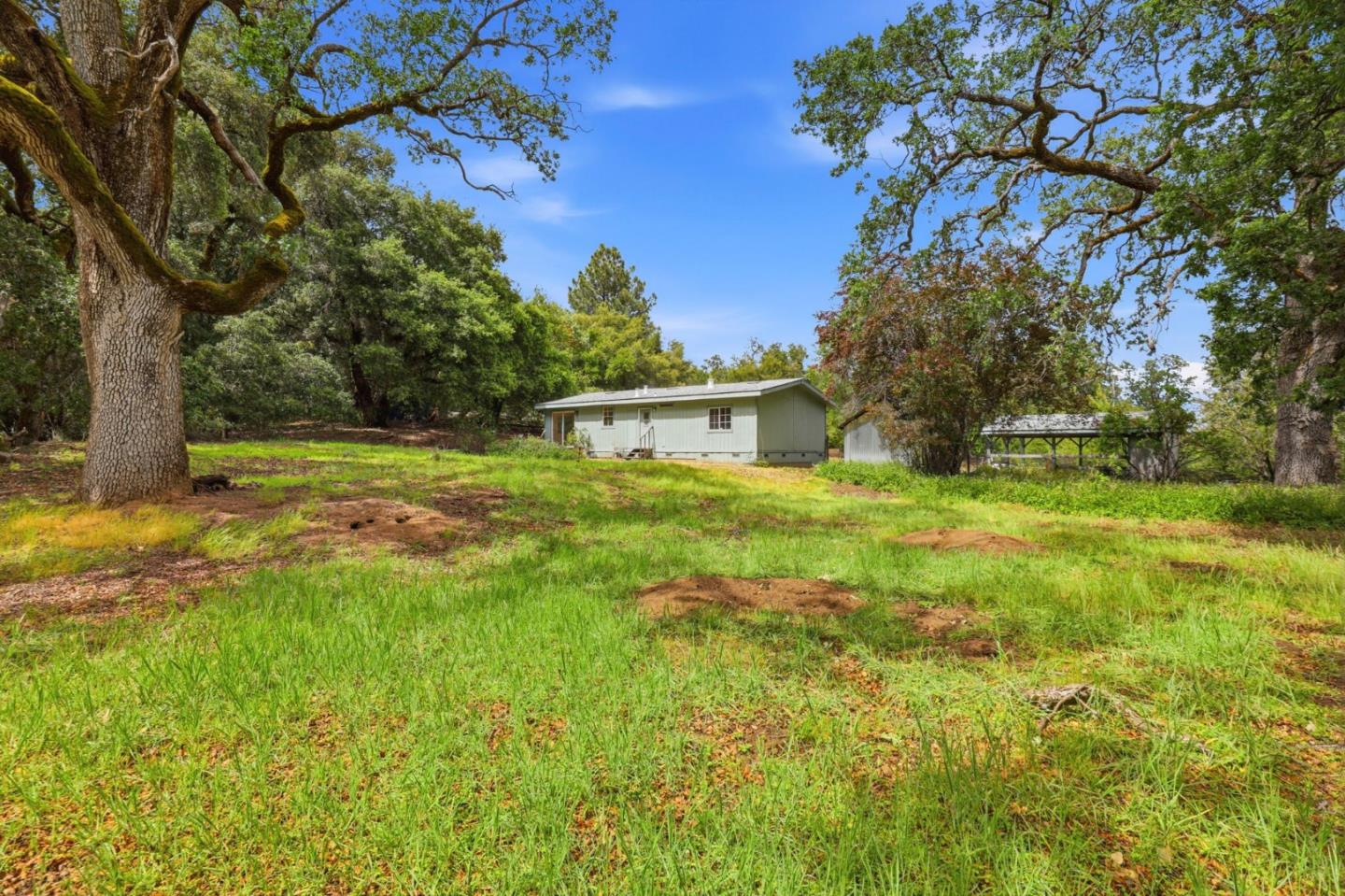 41800 Tassajara Road Carmel Valley, CA 93924 - Photo 41 of 51 a view of a big yard with plants and large trees