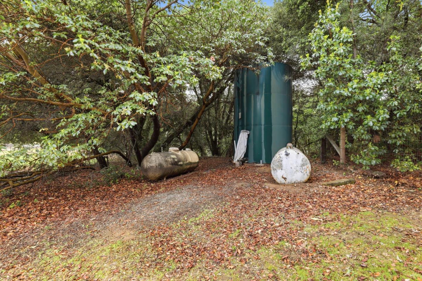 41800 Tassajara Road Carmel Valley, CA 93924 - Photo 44 of 51 a view of a wooden floor and trees in the background