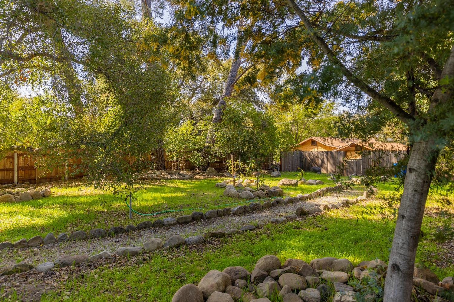 3541 Thacher Road Ojai, CA 93023 - Photo 40 of 50 a view of a yard with plants