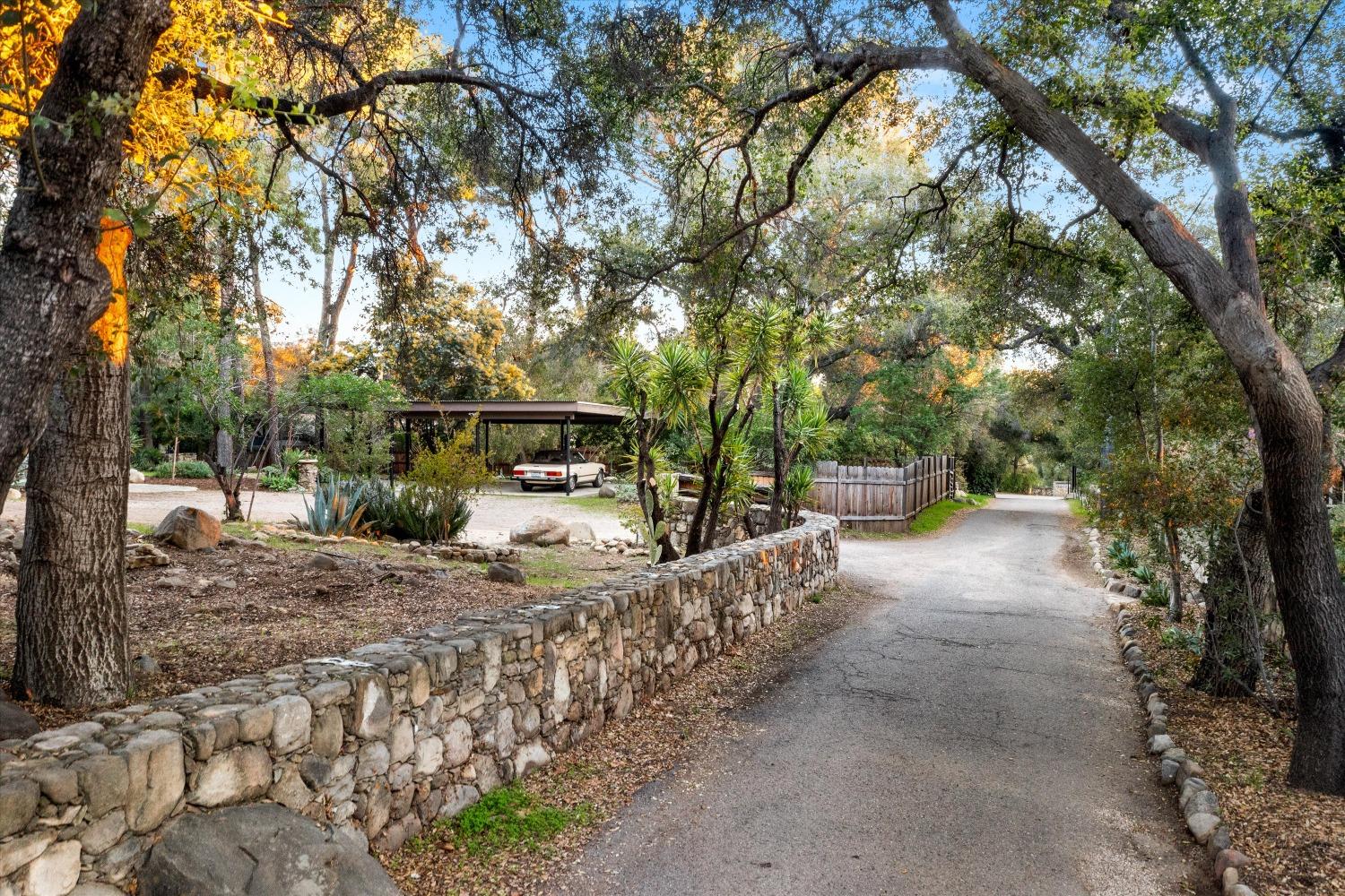 3541 Thacher Road Ojai, CA 93023 - Photo 45 of 50 a view of a yard with trees