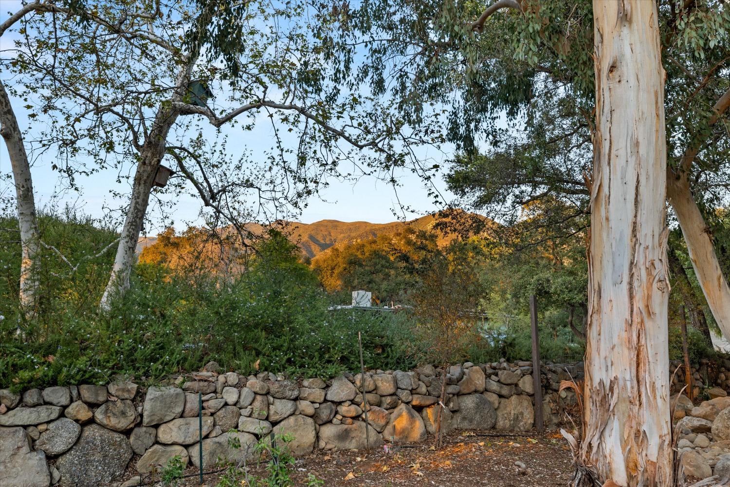 3541 Thacher Road Ojai, CA 93023 - Photo 49 of 50 a view of a yard with a tree