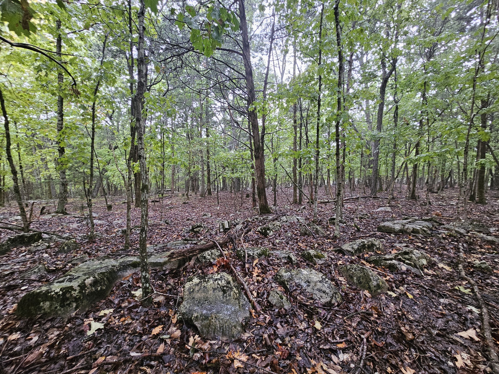 5 Sewanee Summit Road Decherd, TN 37324 - Photo 11 of 15