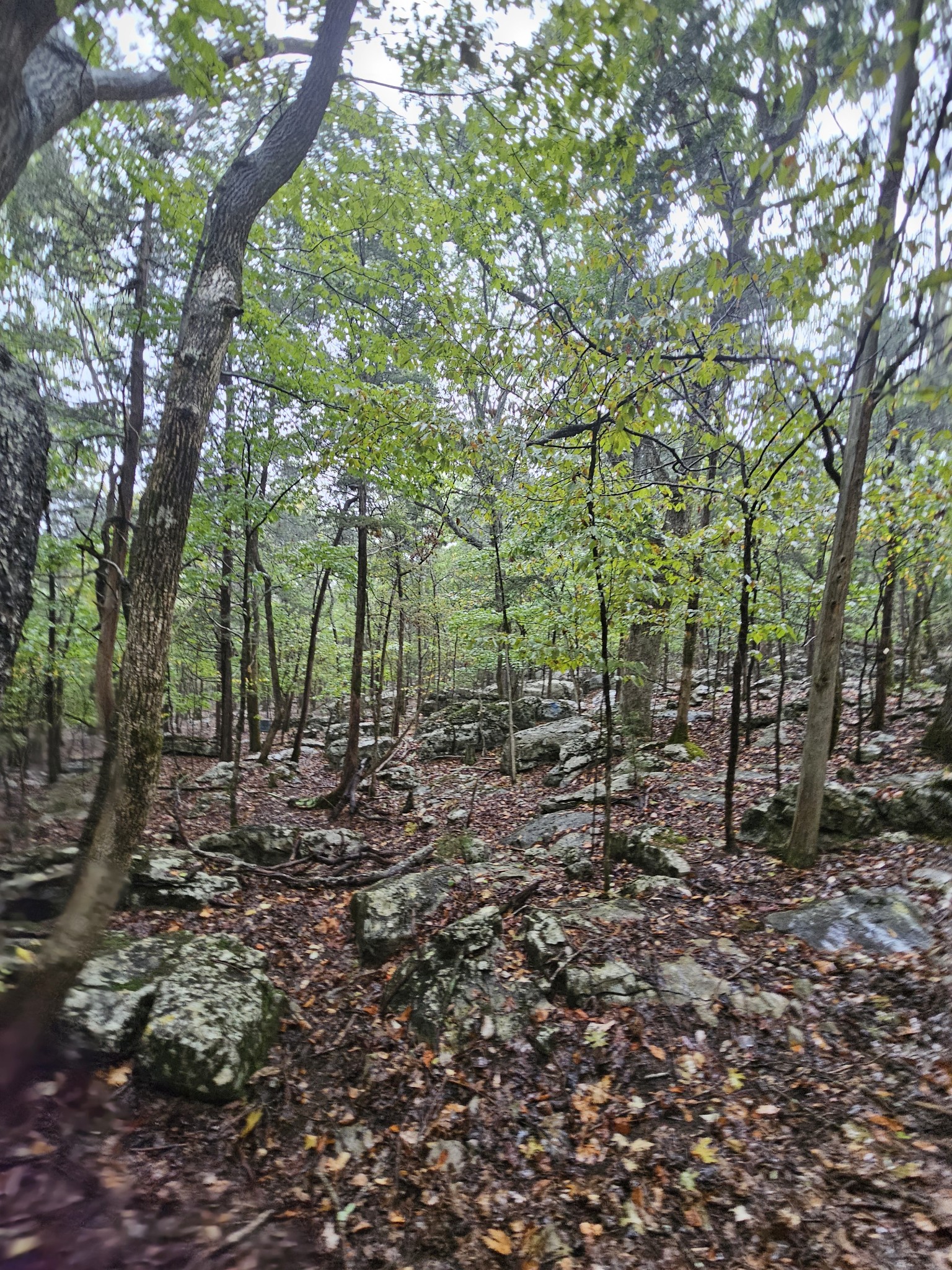 5 Sewanee Summit Road Decherd, TN 37324 - Photo 2 of 15