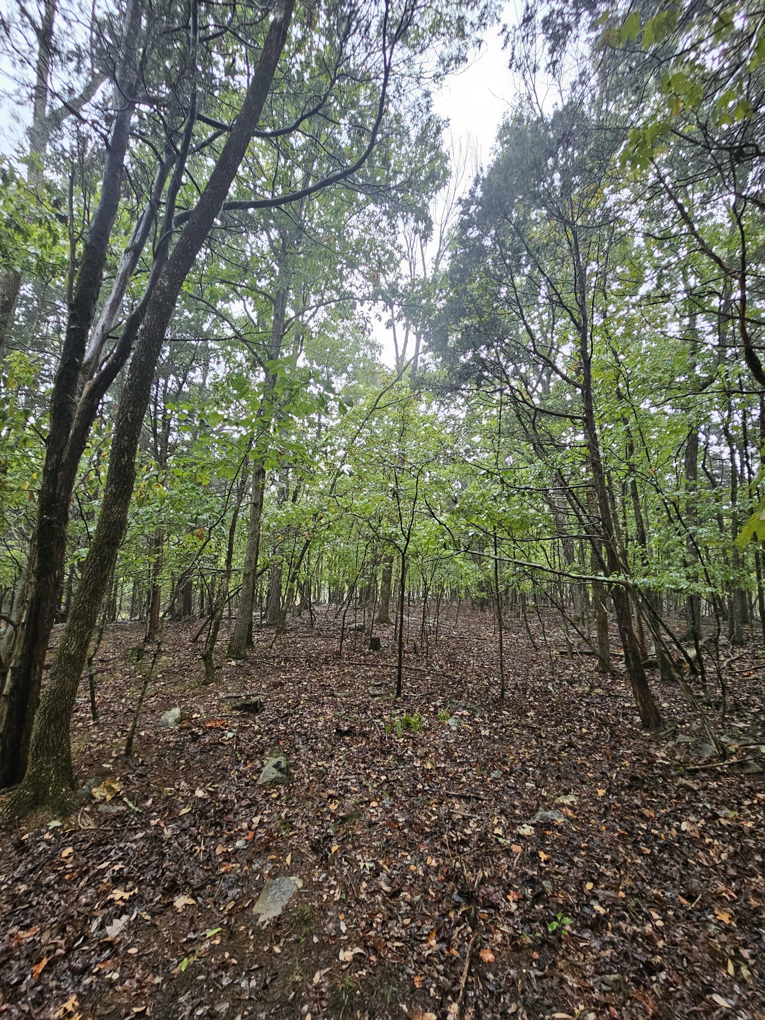 5 Sewanee Summit Road Decherd, TN 37324 - Photo 9 of 15