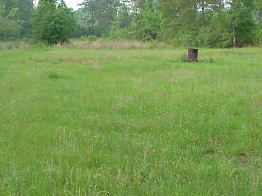 13235 Brickyard Road Independence, LA 70443 - Photo 3 of 8 Gallery Image 3