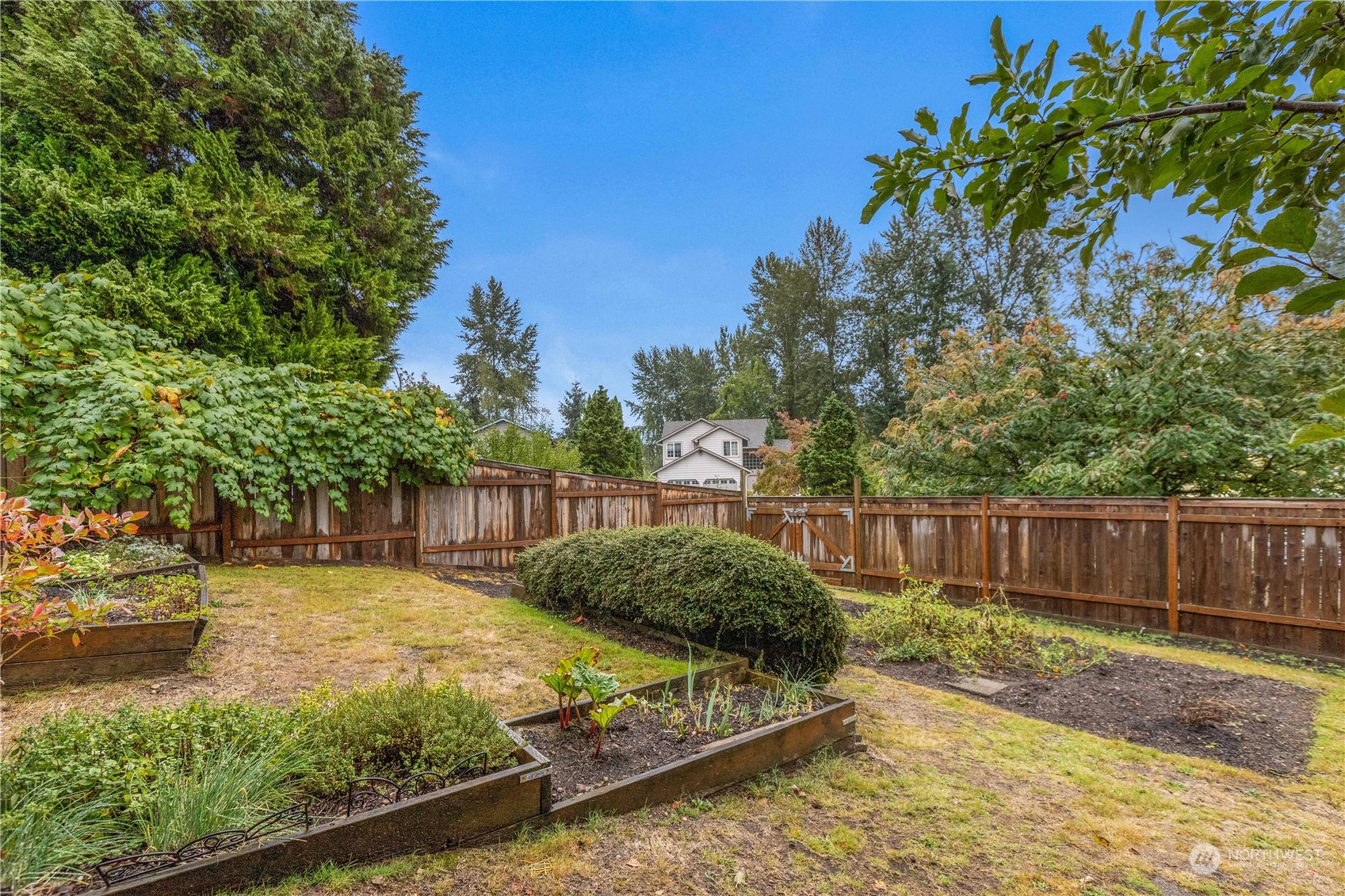 1801 224th Street Southwest Bothell, WA 98021 - Photo 21 of 24 a view of a backyard