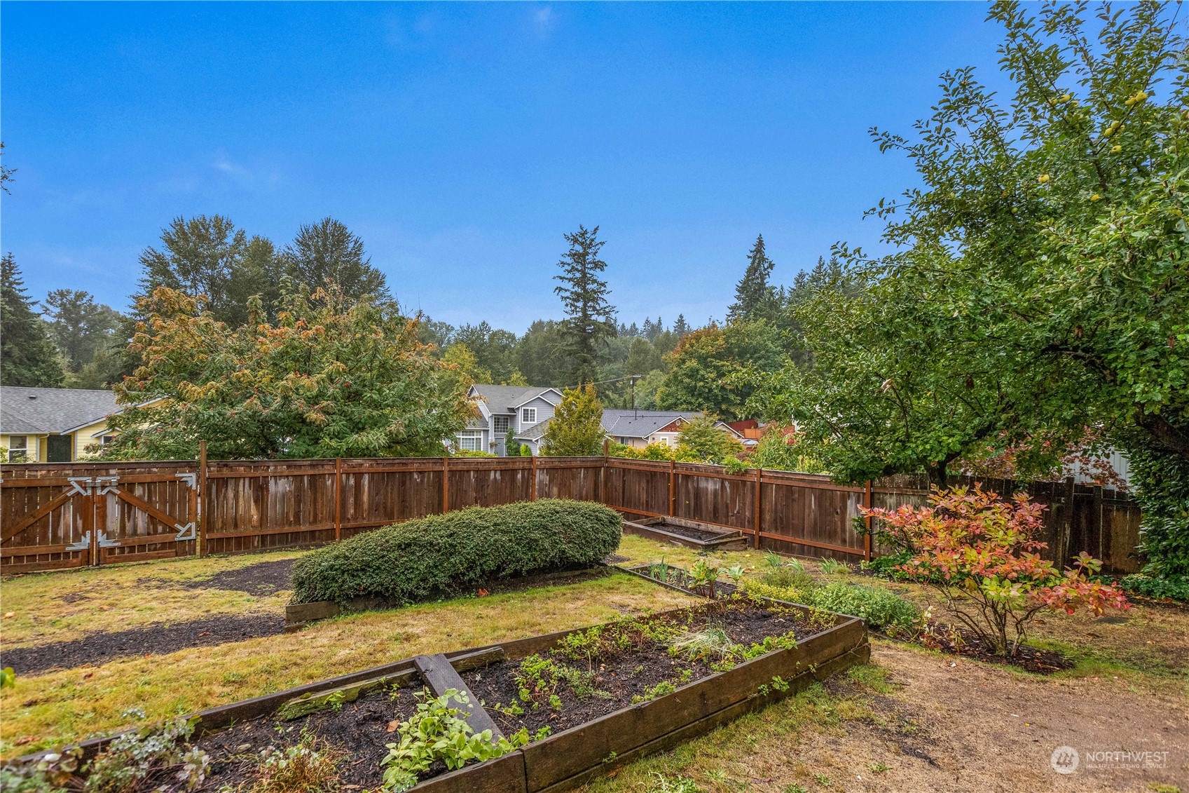 1801 224th Street Southwest Bothell, WA 98021 - Photo 22 of 24 a view of a backyard with tree