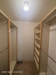 7002 70th Way, Unit 7002 West Palm Beach, FL 33407 - Photo 29 of 39 a view of an empty walk in closet