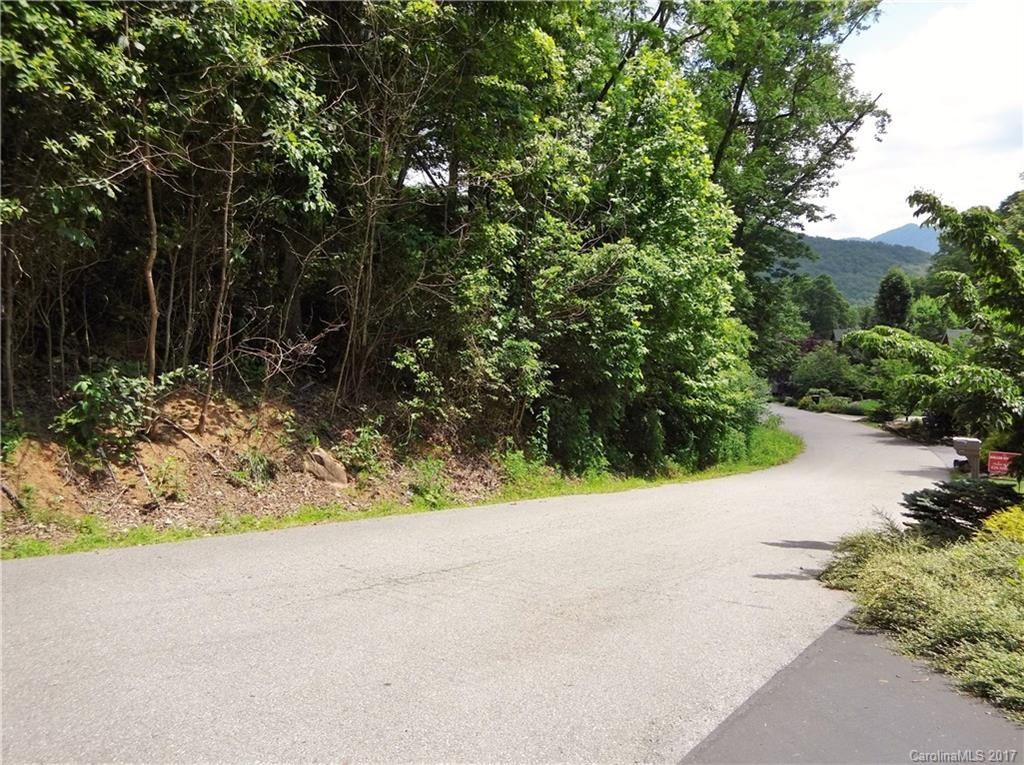 Lot #111 Ladderback Ridge Waynesville, NC 28785 - Photo 2 of 12