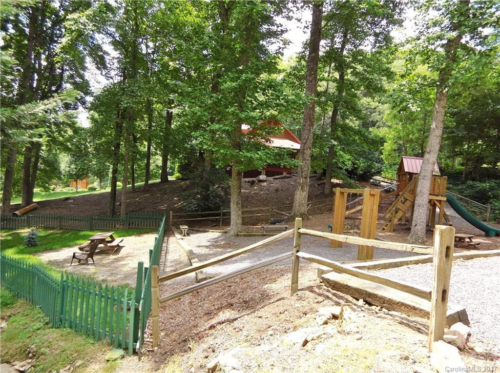 Lot #111 Ladderback Ridge Waynesville, NC 28785 - Photo 11 of 12