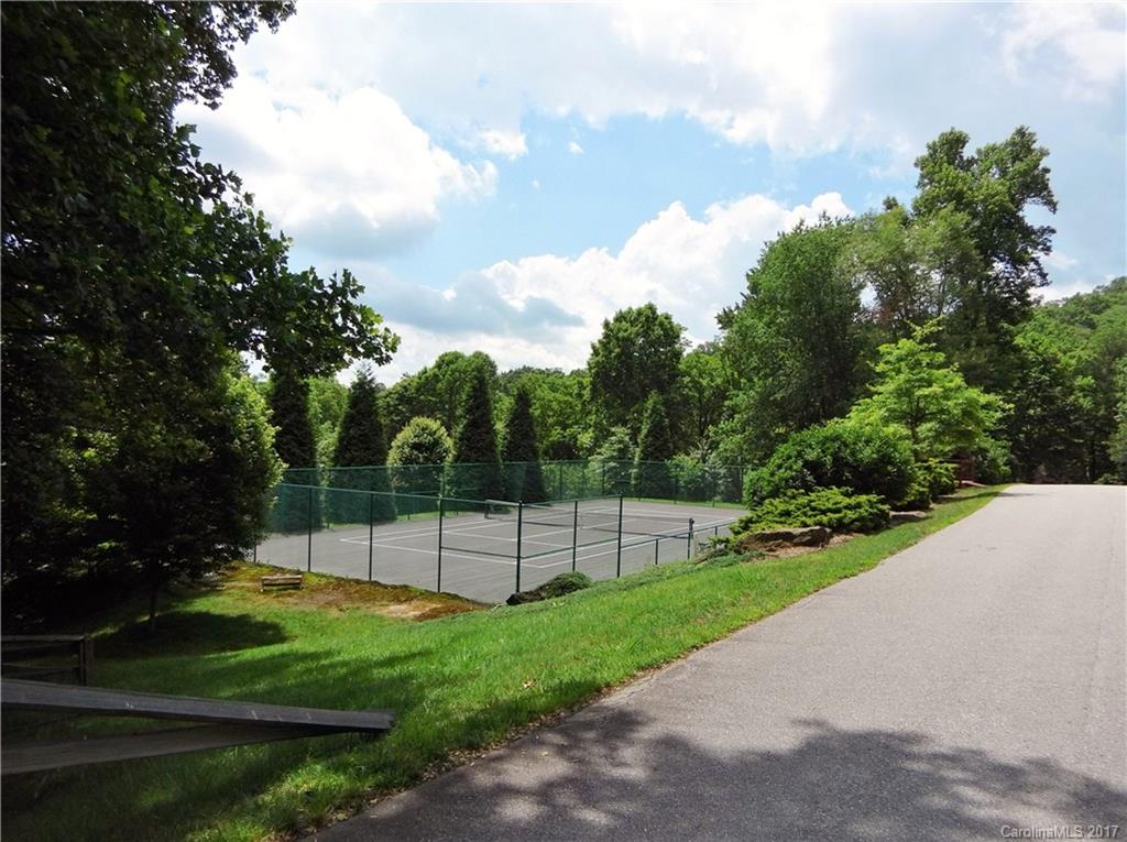 Lot #111 Ladderback Ridge Waynesville, NC 28785 - Photo 12 of 12