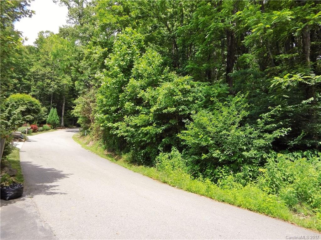 Lot #111 Ladderback Ridge Waynesville, NC 28785 - Photo 3 of 12