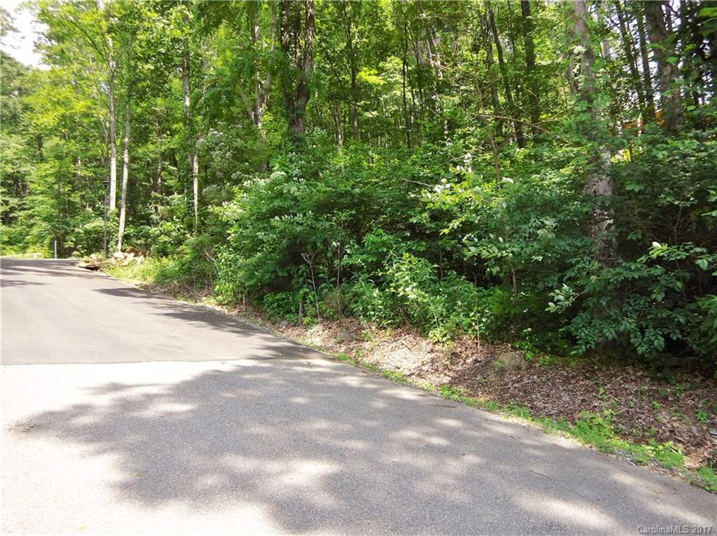 Lot #111 Ladderback Ridge Waynesville, NC 28785 - Photo 4 of 12