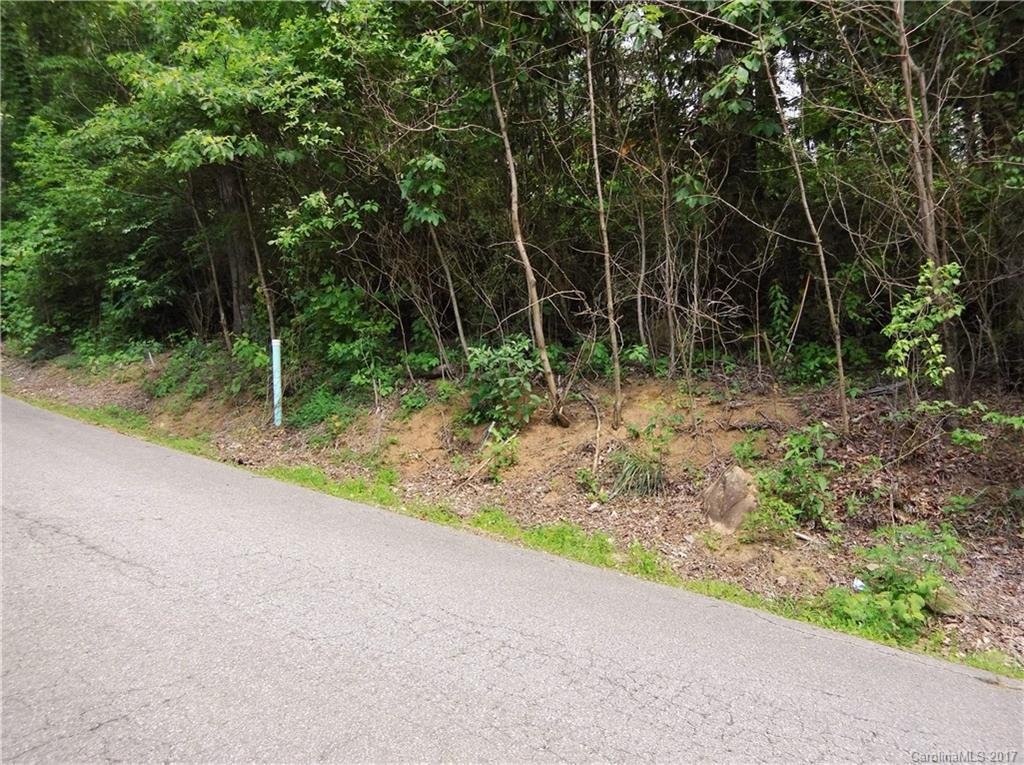 Lot #111 Ladderback Ridge Waynesville, NC 28785 - Photo 5 of 12