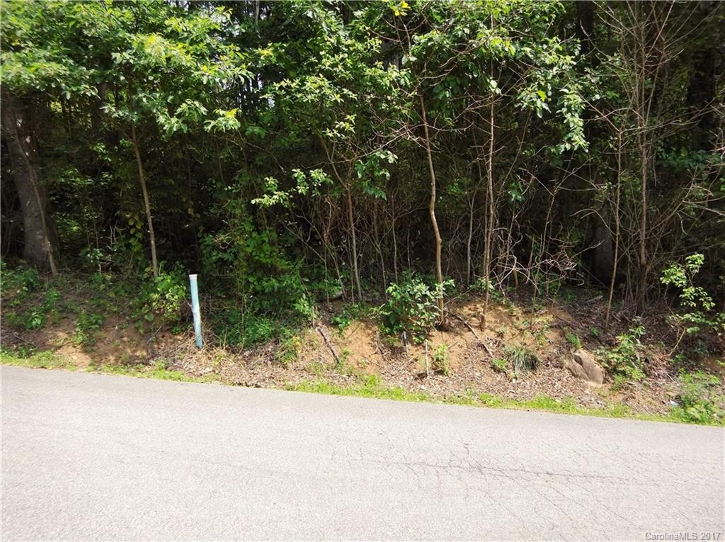 Lot #111 Ladderback Ridge Waynesville, NC 28785 - Photo 6 of 12