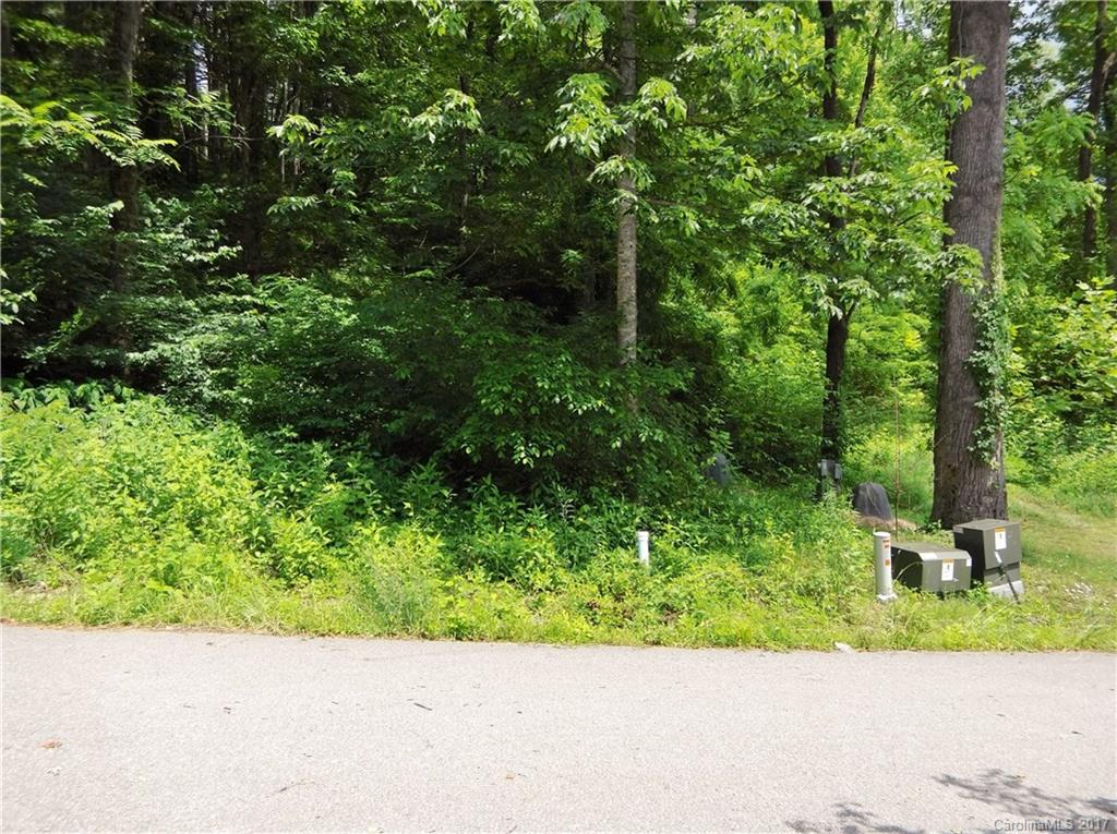 Lot #111 Ladderback Ridge Waynesville, NC 28785 - Photo 7 of 12