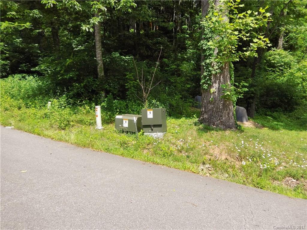 Lot #111 Ladderback Ridge Waynesville, NC 28785 - Photo 8 of 12